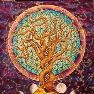 Meet your Posher, Charlee